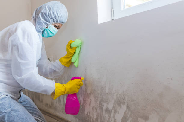 Best Commercial Mold Inspection  in Weatherford, OK